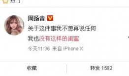 新闻爆料何丹彤简历,揭秘新闻爆料中的职场精英简历