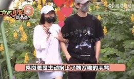 圈内爆料秦岚魏大勋视频,恋情疑云再起